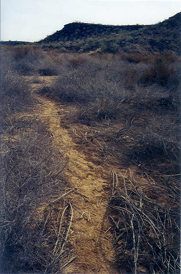 Directions to Site of Oatman Massacre Gila Bend
